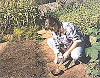 Planting seeds.